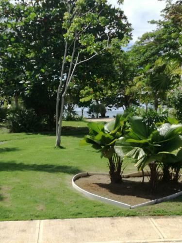 Little Bay Country Club