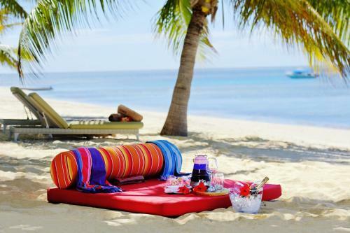 Hotel Vomo Island Resort