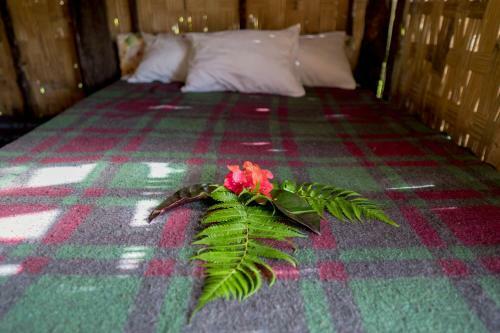 Lodge Namosi Eco Retreat