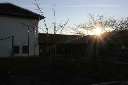 Hostal Guest House Art Eco Land