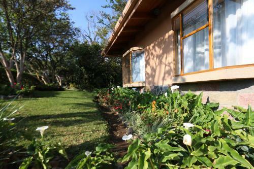 Bed & Breakfast Hotel Las Orquideas