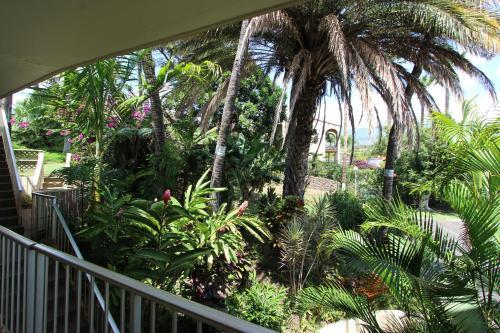 Apartamento Keawakapu 208 Condo