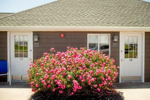Ocean Rose Motel - Narragansett