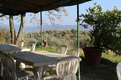 Agroturismo Arnaio