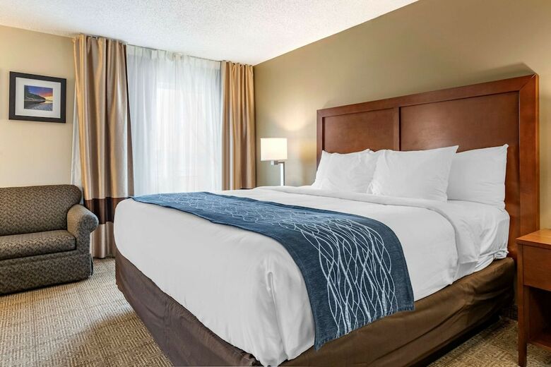 Hotel Comfort Inn & Suites Dimondale