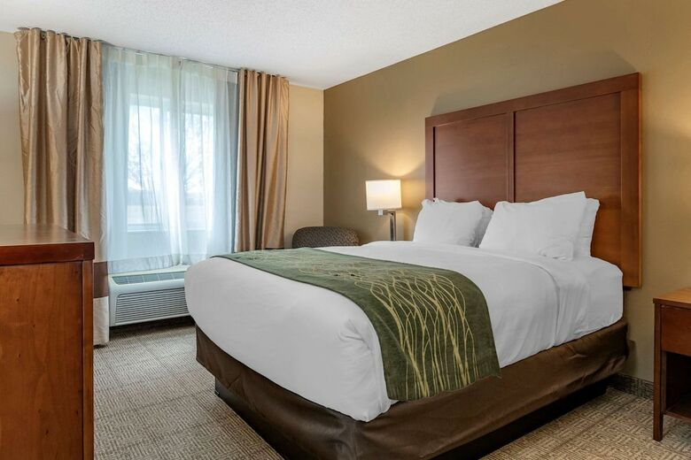 Hotel Comfort Inn & Suites Dimondale
