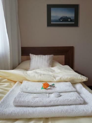 Hostal Penzi�n Kovox