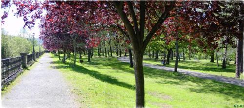 Hotel Balneario Parque De Alceda
