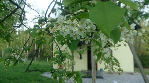 Zayezd Zubachi Brest Holiday Home