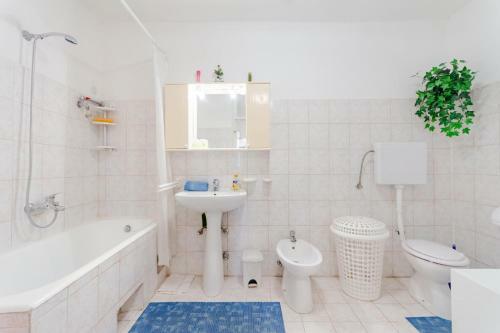 Apartment Ljubomir Mastrinka