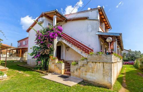Apartment Branka