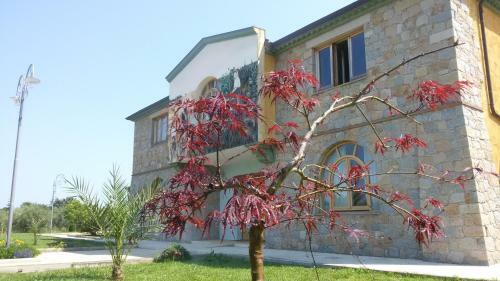 Hotel Lido Orr� Resort