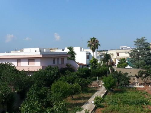 Apartamento Il Giunco