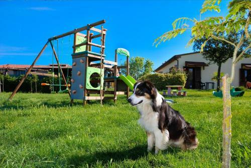 Agroturismo Agriturismo Il Canterino