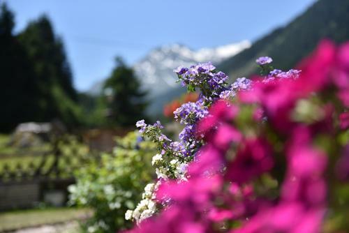 Apartment Fernerkogel