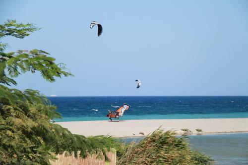 Hotel Stomio Beach