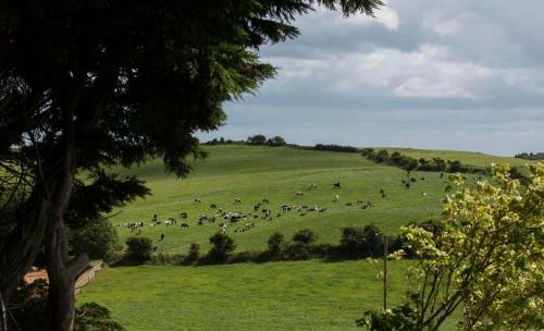 Bed & Breakfast Ard Na Greine Country House