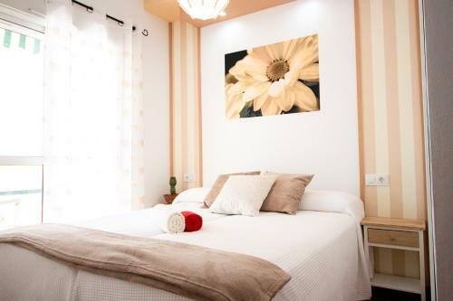 Summerland Apartments Rota