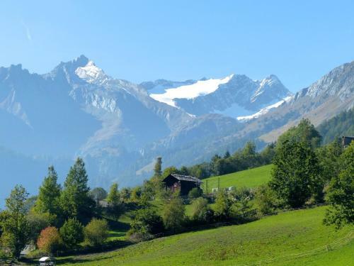 Hostal Hotel Gasthof Islitzer