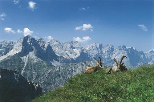 Agroturismo Banders Landhaus
