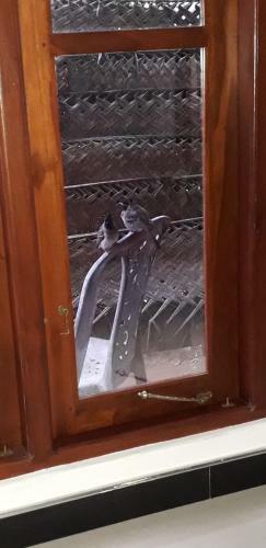 Hotel Yaluwa Tourist Rest