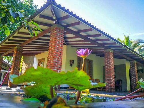 Bed & Breakfast Green Cottage