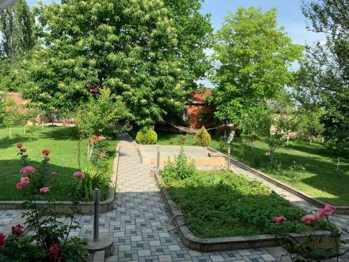 Gabala Dreams