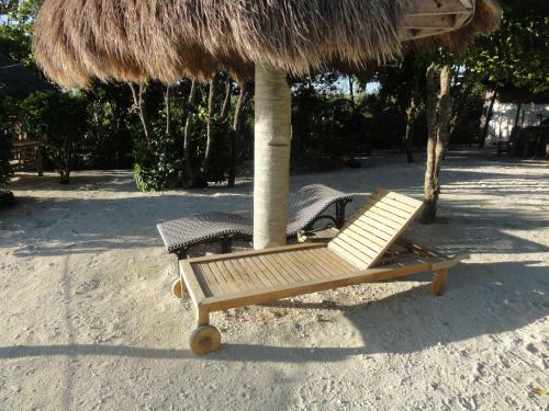 Bed & Breakfast Sea Turtle House Moalboal