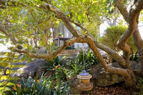 Hostal Loerie's Call Guesthouse