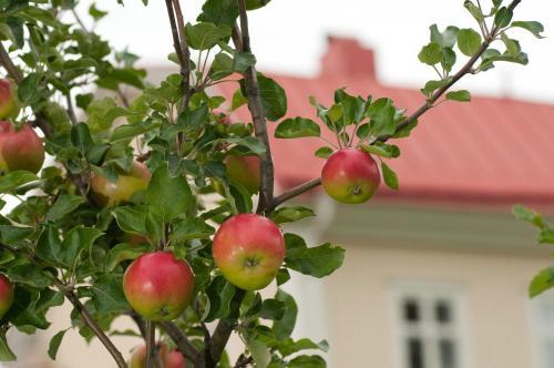 Stf Hostel Skellefte�