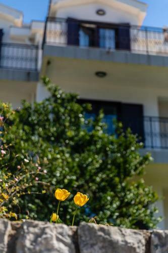 Apartments Miramar