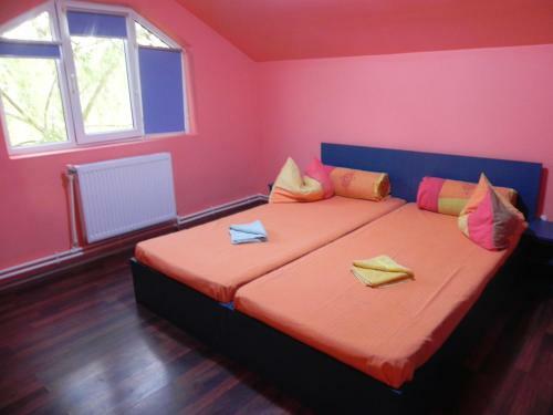 Bed & Breakfast Pension Puiu