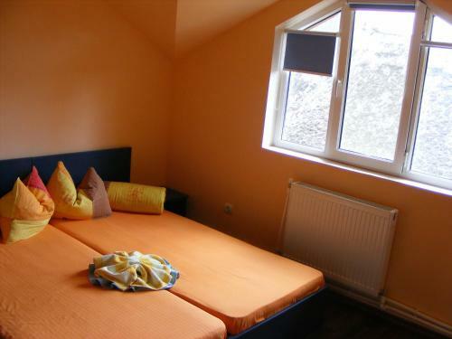 Bed & Breakfast Pension Puiu