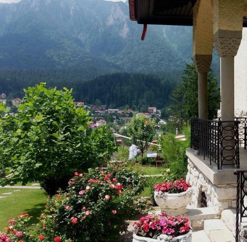 Hostal Vila Leonida