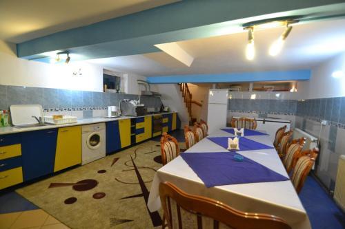 Villa Vila Ioana