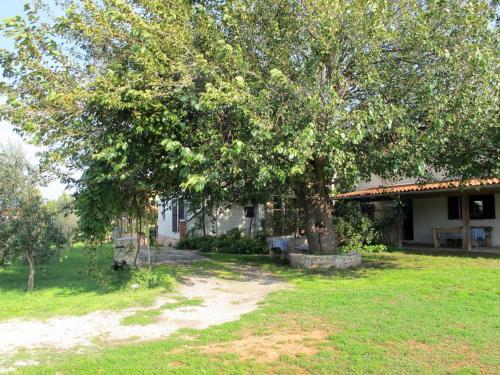 Apartment Haus Margerita (pul509)
