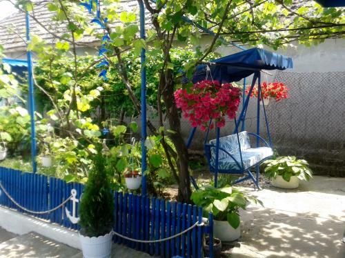 Hostal Casa Babica Guesthouse