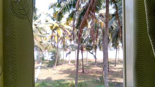 Blue Birds Homestay