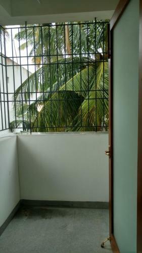 The Wildflowers Of Walden