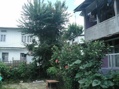 Troya Home Stay