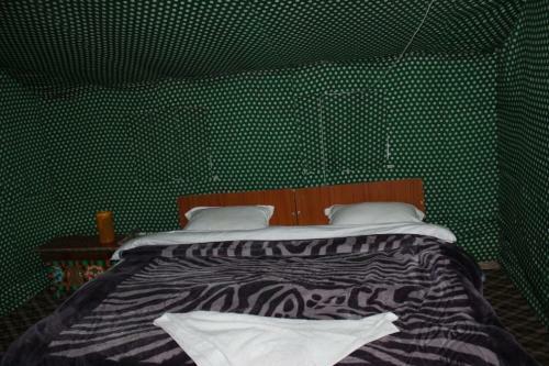 Auspicious Camp Pangong