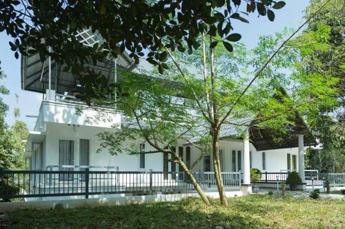 Hotel Bamboo Creak