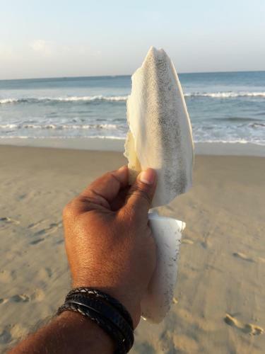 Archana Beach Homestay Varkala