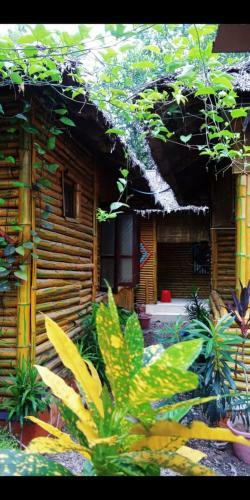 Hotel My Eco Villa
