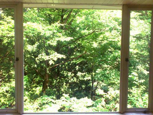 Tenjin Lodge