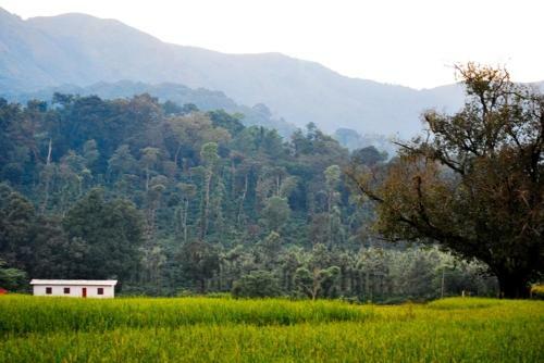 Sanjose Holiday Home Resort,virajpet