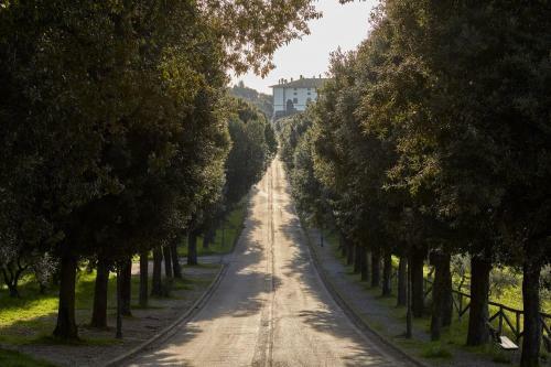 Tenuta Di Artimino Hotel