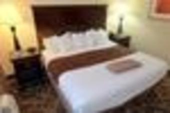 Best Western Plus Trail Lodge Hotel & Suites