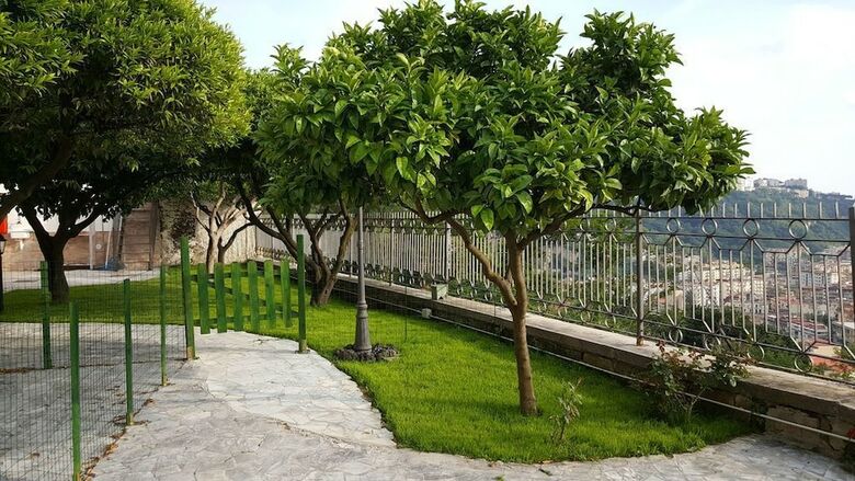 Vacation Home Agrumeto Flegreo