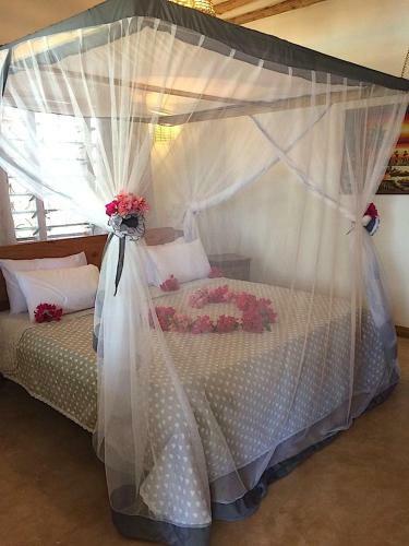 Bed & Breakfast Sibil Nyumba Oasis
